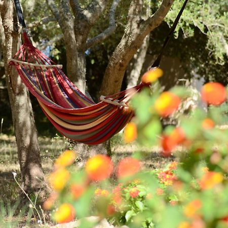 Finca Katia Capdepera Kültér fotó